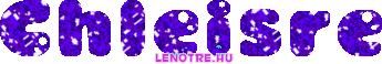 cschleisre.gif